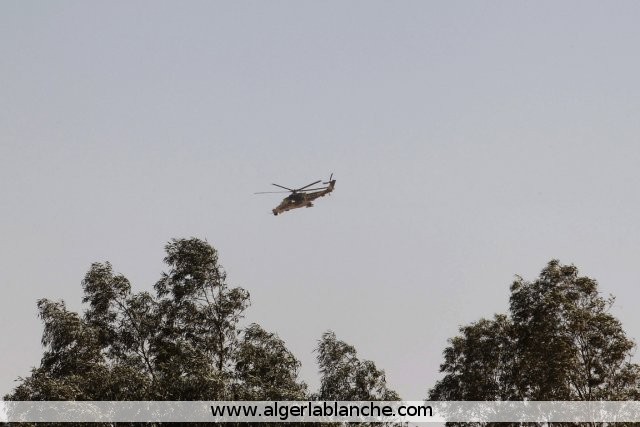 صور مروحيات Mi-24MKIII SuperHind الجزائرية - صفحة 4 Milmi24