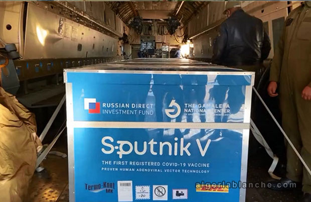 sputnik-5.jpg