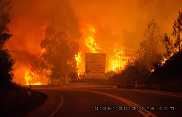 portugal-incendie.jpg