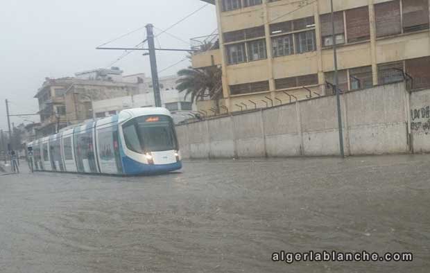 algerie-innondation.jpg