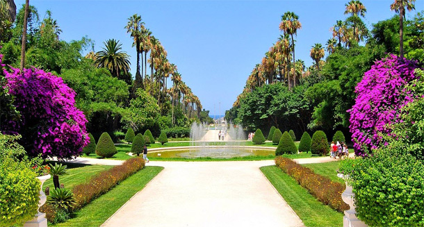 Jardin d'essai d'Alger